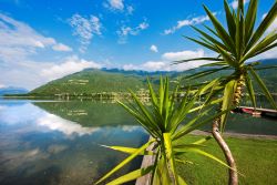 Appartements am Ossiacher See